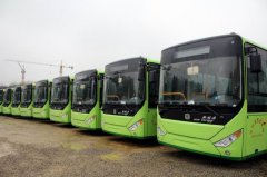 茶人巴士 绿色出行 安全第一